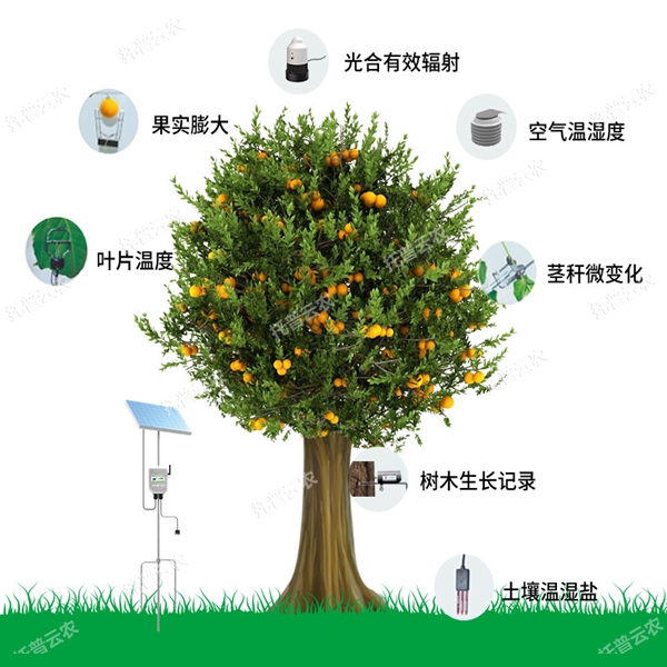 植物生理生態(tài)監(jiān)測系統(tǒng)不斷發(fā)展成熟起來