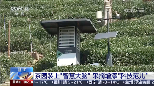 央視、人民網(wǎng)等權(quán)威媒體聚焦西湖龍井：托普云農(nóng)“黑科技”點(diǎn)亮千年茶香智變之路